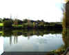 etang.jpg (19912 octets)